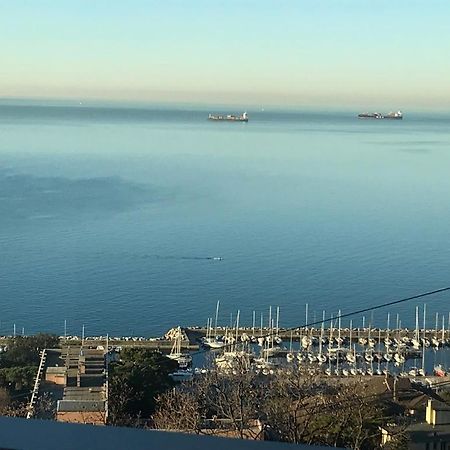 Trieste Sea Life Luaran gambar